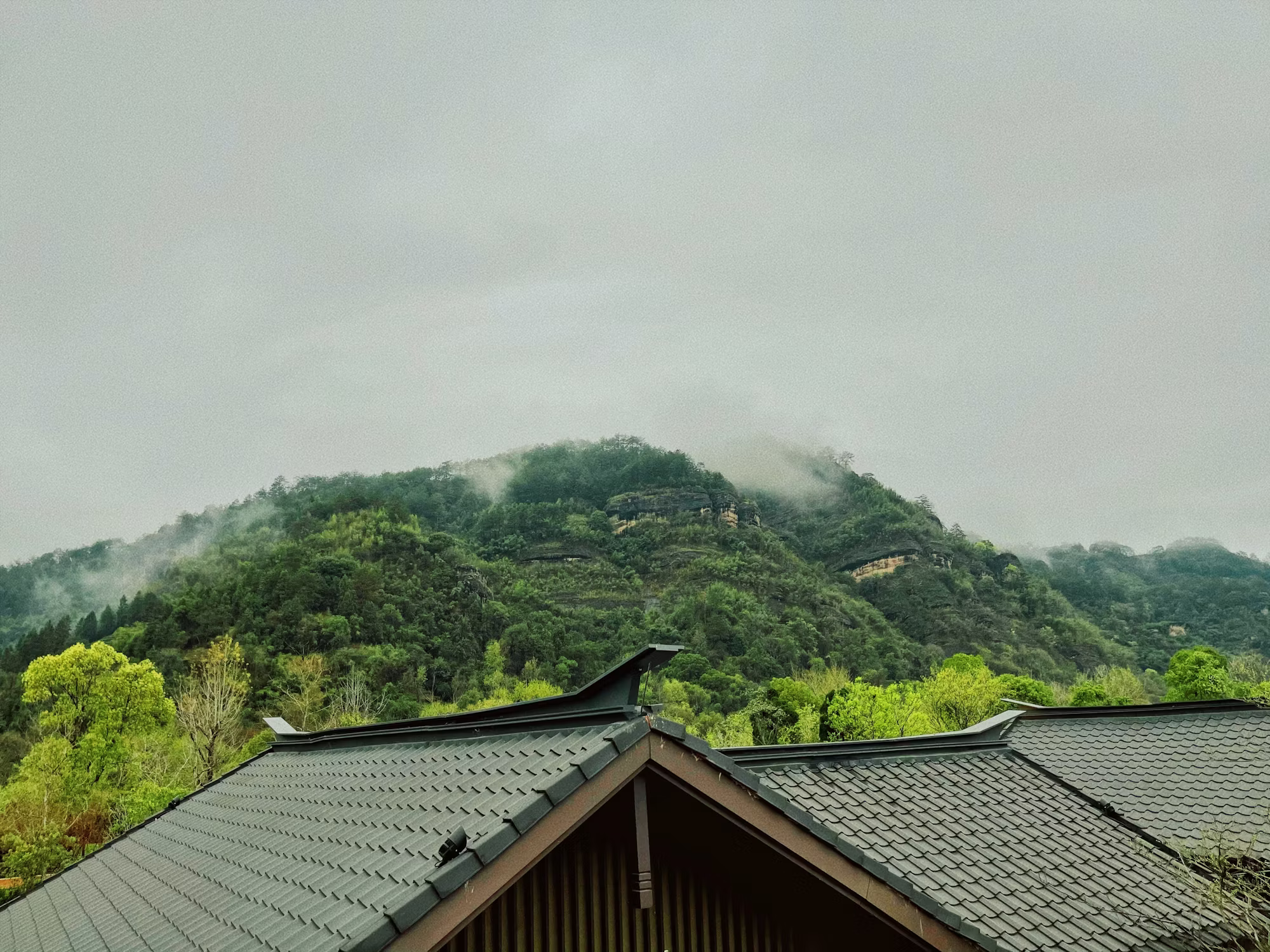 ブティックホテルの魅力を発表する：ユニークな体験への旅行者ガイド