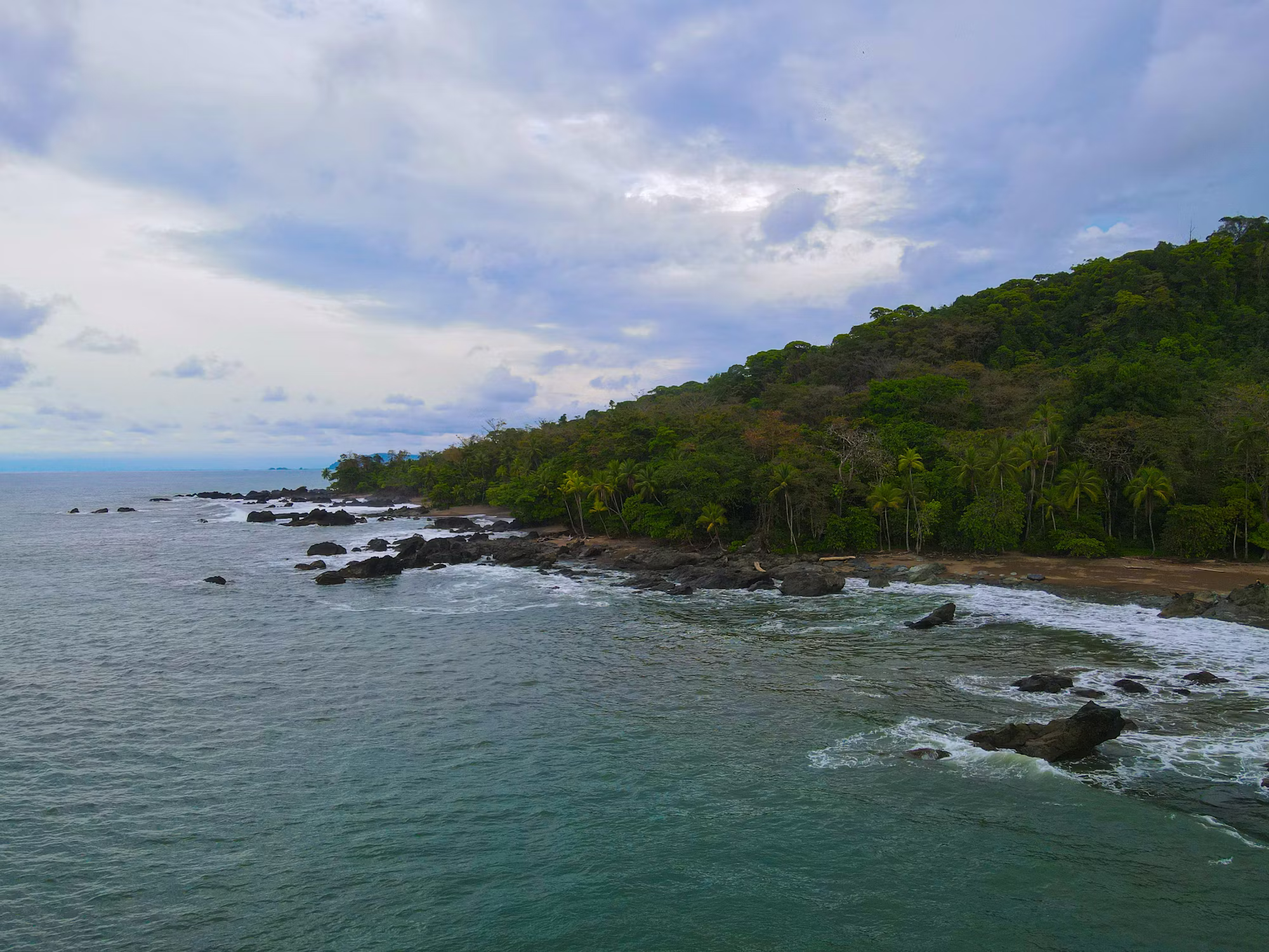 料理の旅: 食を通じて世界を探索する